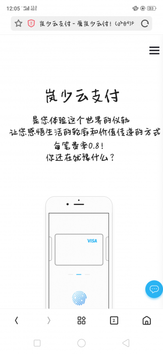 价值600元的岚少云支付网站源码