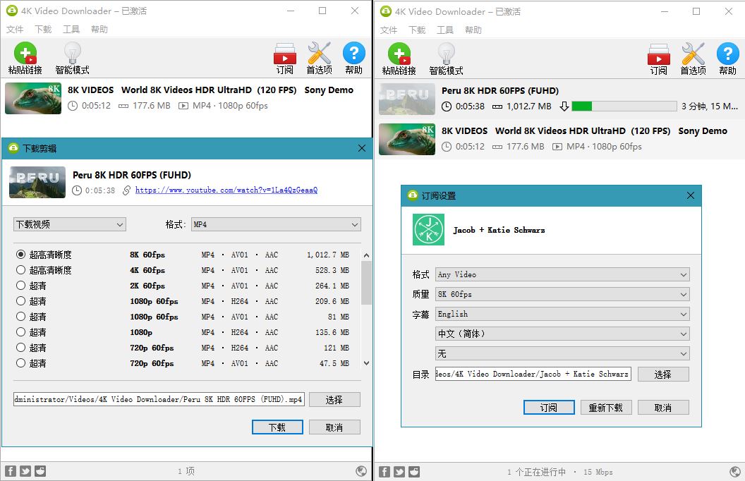 油管高清视频下载利器4K Video Downloader v4.20.4
