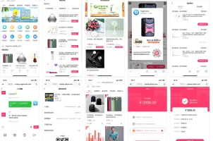 微商城电商购物系统源码完整前后端全开源
