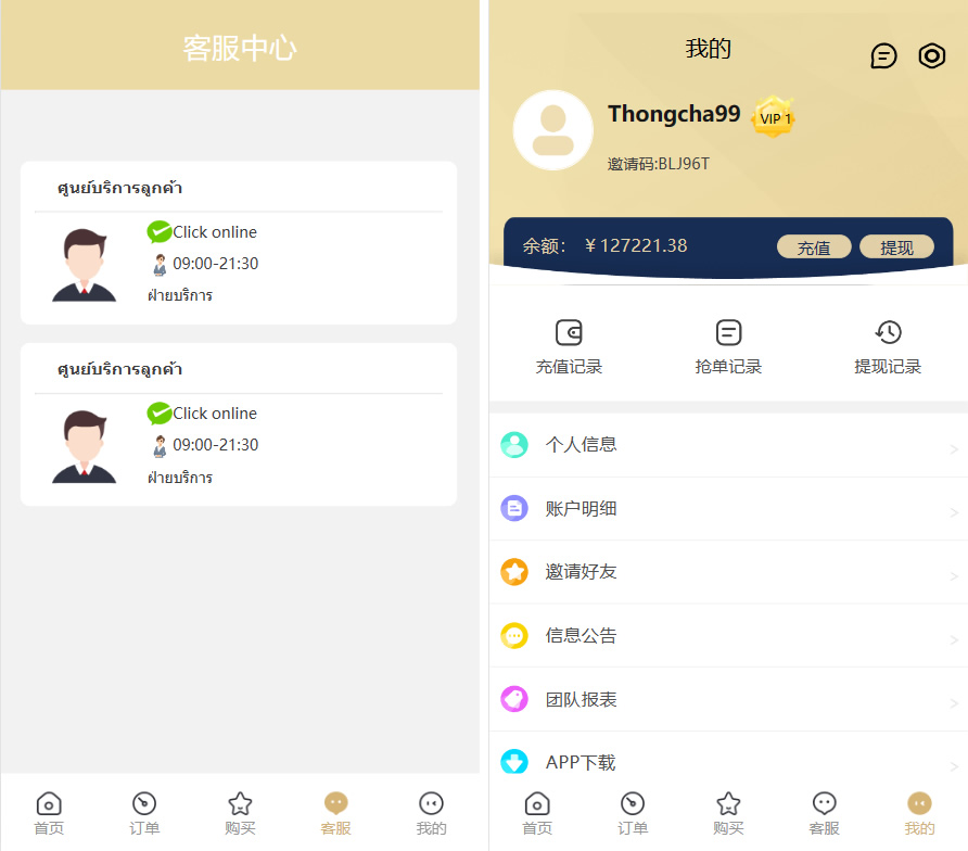 9国语言TP开发的海外 多语言 刷单抢单源码+9色前端UI