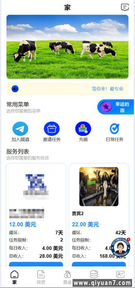 海外投资共享奶牛+牧场投资理财基金源码